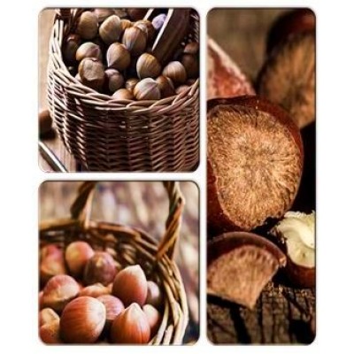 Фундук > коллекция из 3-х сортов: Фундук Косфорд => Фундук Ламберта => Фундук Сирена Фундук > коллекция из 3-х сортов: Фундук Косфорд => Фундук Ламберта => Фундук Сирена