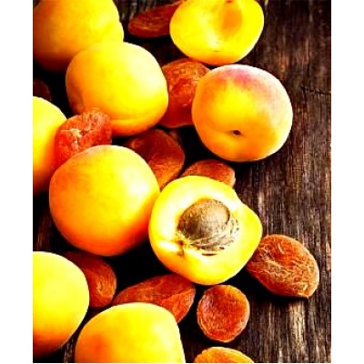 Саженец абрикоса "Леала" Саженец абрикоса "Леала"