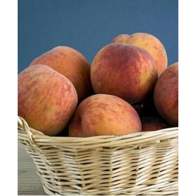 Саженец персика "Августовский" Саженец персика "Августовский"