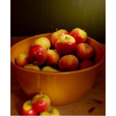 Саженец яблони "Джулия" Саженец яблони "Джулия"